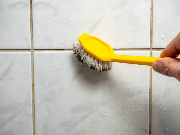 Best Home Mold Removal  in Houserville, PA