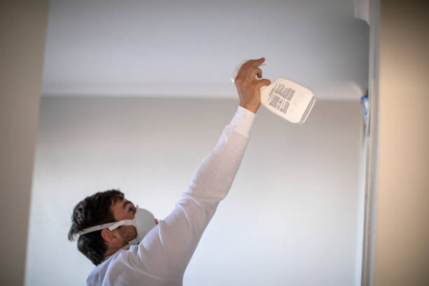 Best Professional Mold Removal  in Houserville, PA